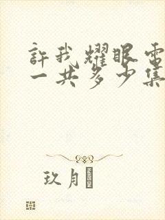 许我耀眼电视剧一共多少集