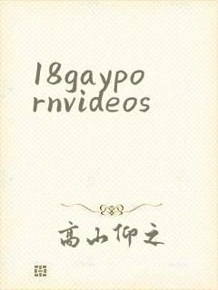 18gaypornvideos封面