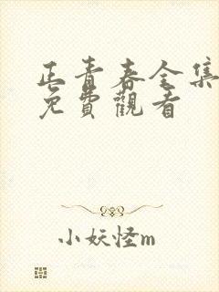 正青春全集正片免费观看封面