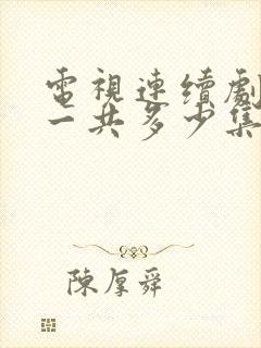 电视连续剧冬至一共多少集封面