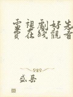 电视剧好先生免费在线观看完整版