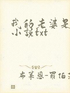 我的老婆是总裁小说txt封面