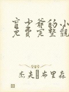 盲少爷的小女仆免费完整观看