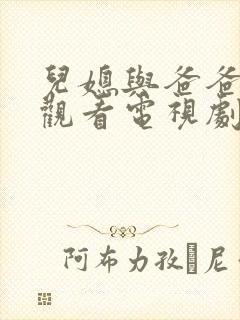 儿媳与爸爸免费观看电视剧封面