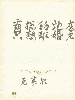 霸总的炮灰男妻只想离婚免费阅读