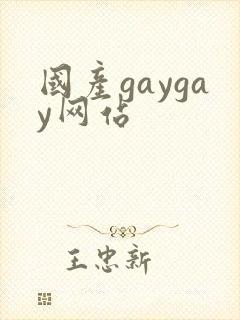 国产gaygay网站