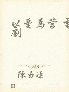 以爱为营 电视剧封面