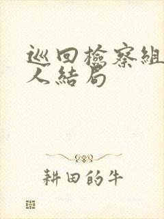 巡回检察组所有人结局封面