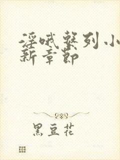 淫哦系列小说最新章节