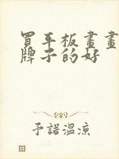 买平板画画什么牌子的好