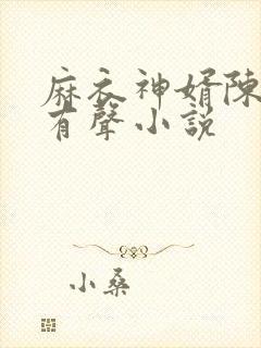 麻衣神婿陈黄皮有声小说封面