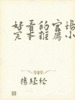 好看的官场小说完本推荐小说封面