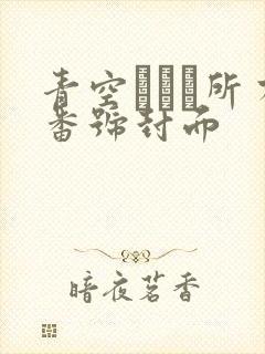 青空ひかり所有番号封面