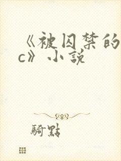 《被囚禁的npc》小说