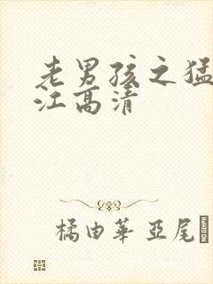 老男孩之猛龙过江高清