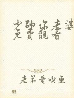 少帅你老婆又跑免费观看封面