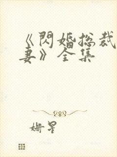 《闪婚总裁契约妻》全集