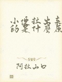 小便拉出来红色的是什么原因