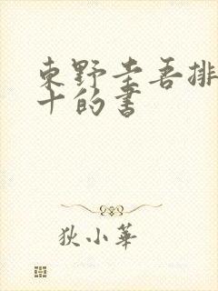 东野圭吾排名前十的书