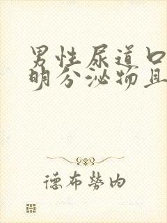 男性尿道口有透明分泌物且拉丝