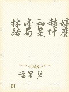 林峰和赵婷最终结局是什么?封面