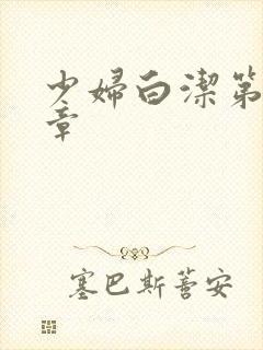 少妇白洁第十三章