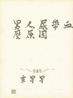 男人尿带血是什么原因