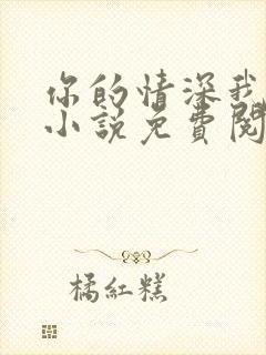 你的情深我不配小说免费阅读