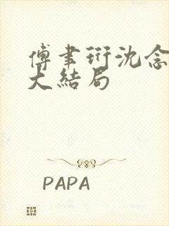 傅聿珩沈念结局大结局封面