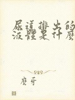 尿道排出的透明液体是什么