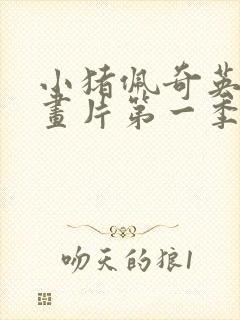 小猪佩奇英语动画片第一季到第六季