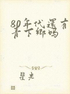 80年代还有知青下乡吗封面