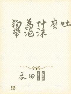 狗为什么吐黄水带泡沫