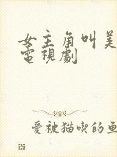 女主角叫美丽的电视剧封面