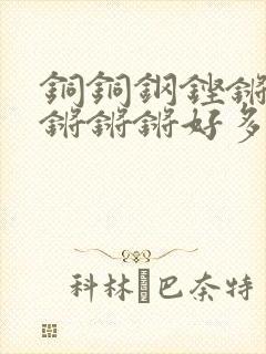 铜铜钢铿锵锵锵锵锵锵好多少阅读封面