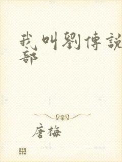 我叫刘传说第二部