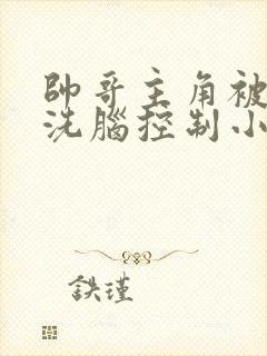 帅哥主角被催眠洗脑控制小说