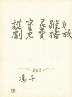 护宝寻踪》电视剧免费播放全集封面