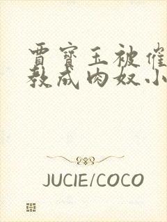 贾宝玉被催眠调教成肉奴小说