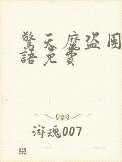 惊天魔盗团1国语免费封面