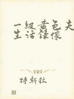 一级黄色夫妻性生活录像