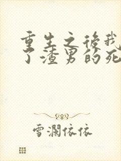 重生之后我嫁给了渣男的死对头短剧