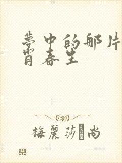 梦中的那片海 肖春生