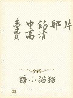 梦中的那片海免费高清