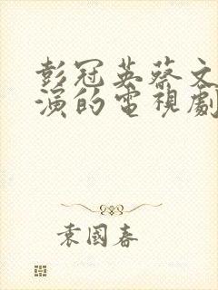 彭冠英蔡文静主演的电视剧