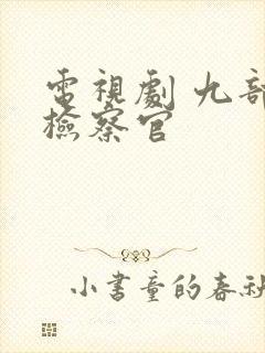 电视剧 九部的检察官