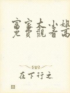 富家大小姐电影免费观看高清