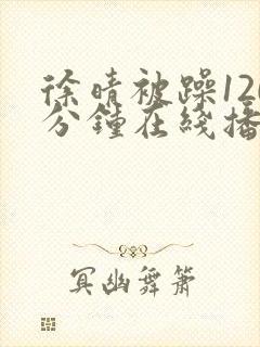 徐晴被躁120分钟在线播放