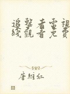 追击者电视剧在线观看免费高清