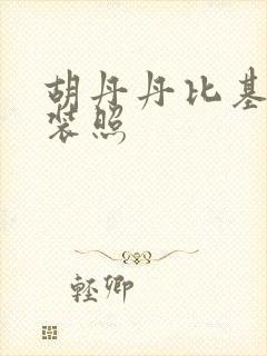 胡丹丹比基尼泳装照封面